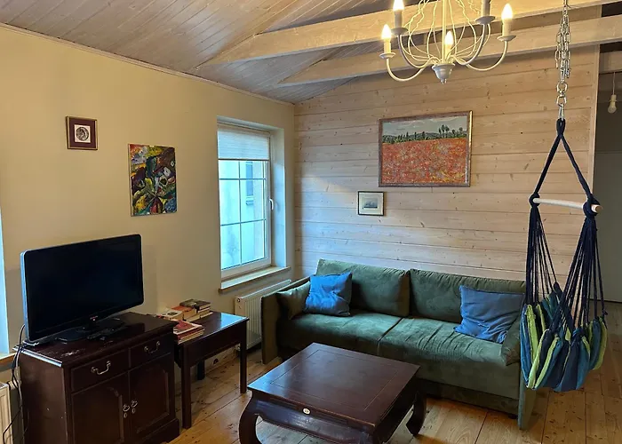 Igo Townhall 公寓 维尔纽斯