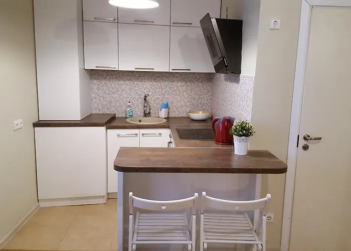 アパート Igo Townhall ヴィリニュス